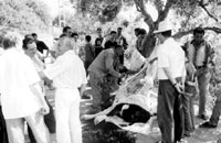 At Hamdoun :Timechret revient apr�s 26 ans