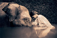 Magnifiques photographies de Gregory Colbert
