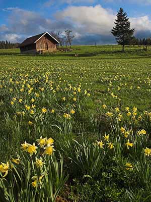 Timechret (�dition 2957)Une Premi�re en Am�rique du Nord: Le dimanche 13 mai 2007 de 8h � 14h.