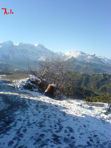 Belle vue du djurdjura sous la neige depuis Zawiya Ath cheikh /Tassaft Ouguemoune...