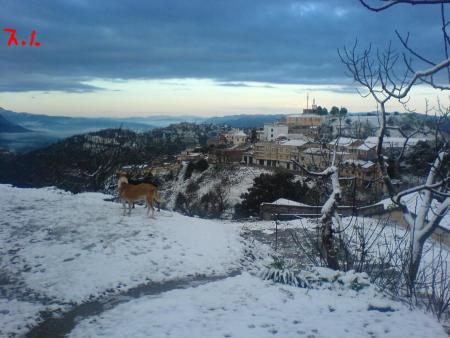 Photo sublime de Tassaft sous la neige mars 2008...Tannemirt i Gana Ouahioune...