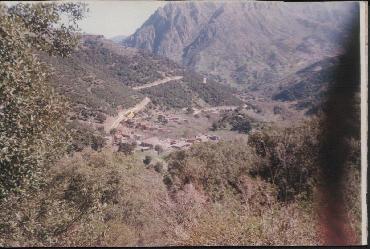 Taddart At -Allaoua.