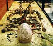 Tin Hinan, une reine ou un roi ?Son squelette a �t� d�couvert en 1925.